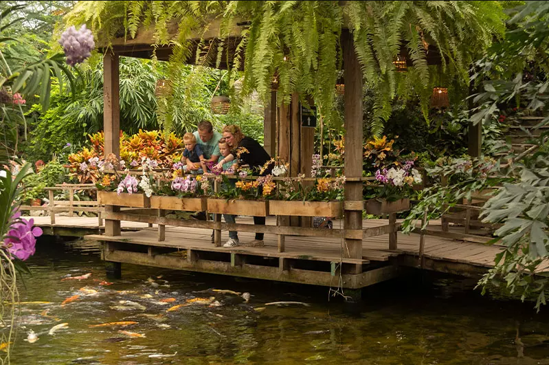 Pantropica bezoeken vanaf Giethoorn